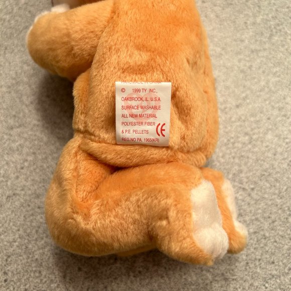 HOPE "THE PRAYING BEAR" - Picture 5 of 8